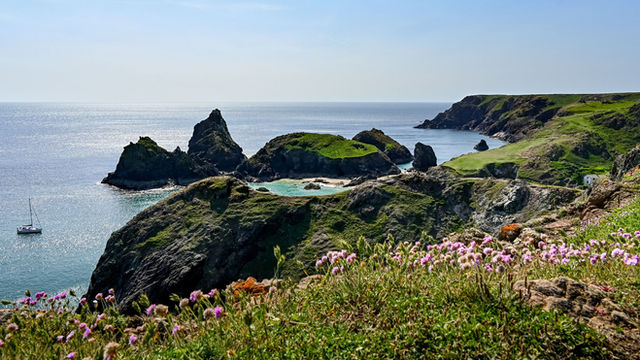 Explore the stunning coastal landscape of Kynance Cove, Cornwall, with vibrant greenery and rocky cliffs.