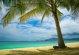 Malcapuya Island Beach