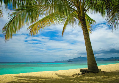 Malcapuya Island Beach, Palawan