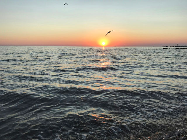 body of water during sunset