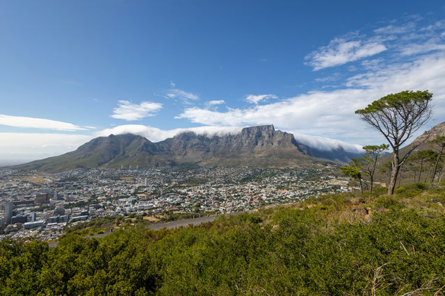 Table mountain overlooks a coastal city under a cloudy sky.