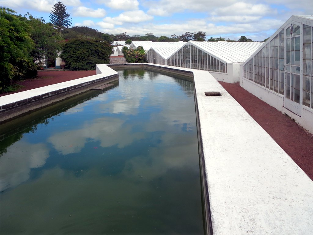 Azores — photo 16