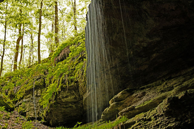 Mammoth Cave National Park