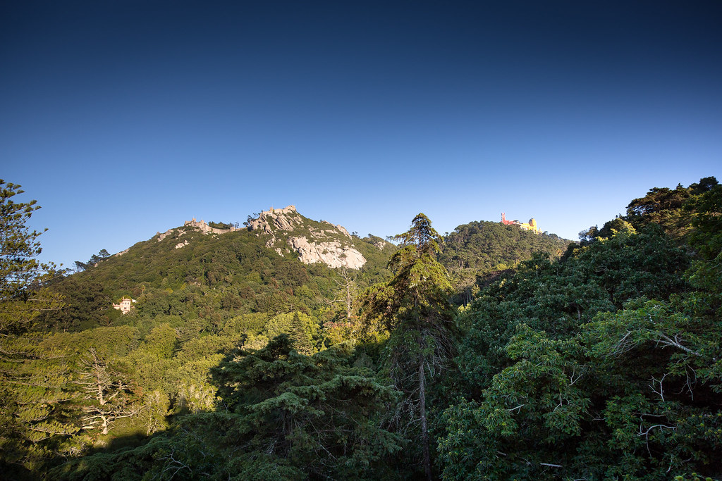 Sintra — photo 13