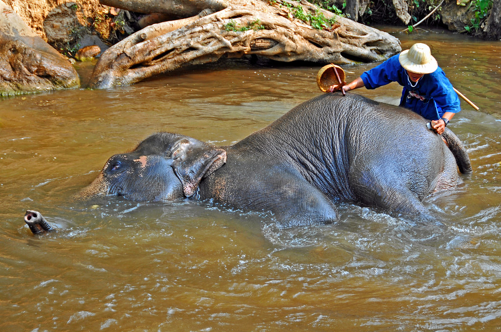 Chiang Mai — photo 15