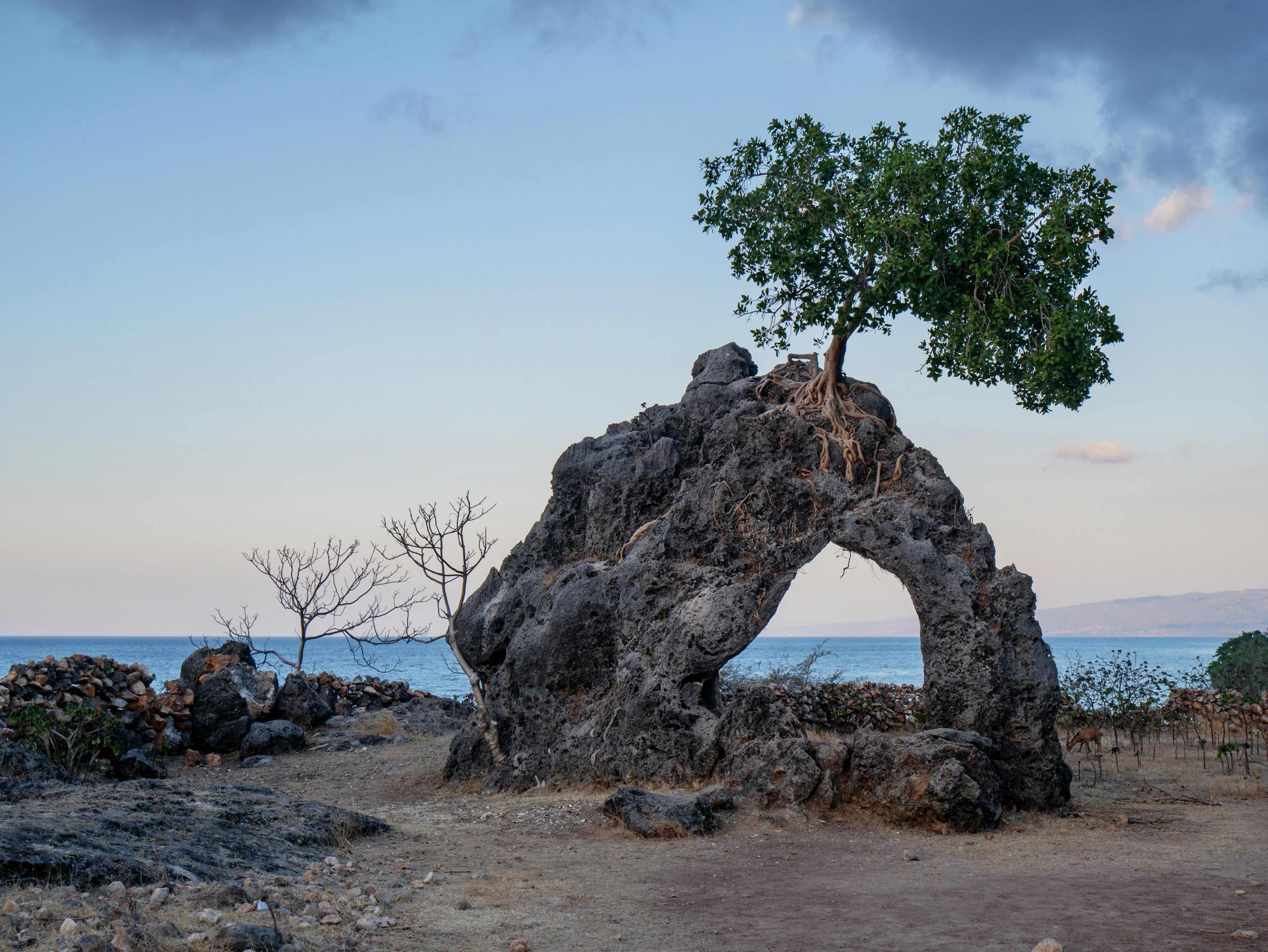 Timor-Leste — image 3