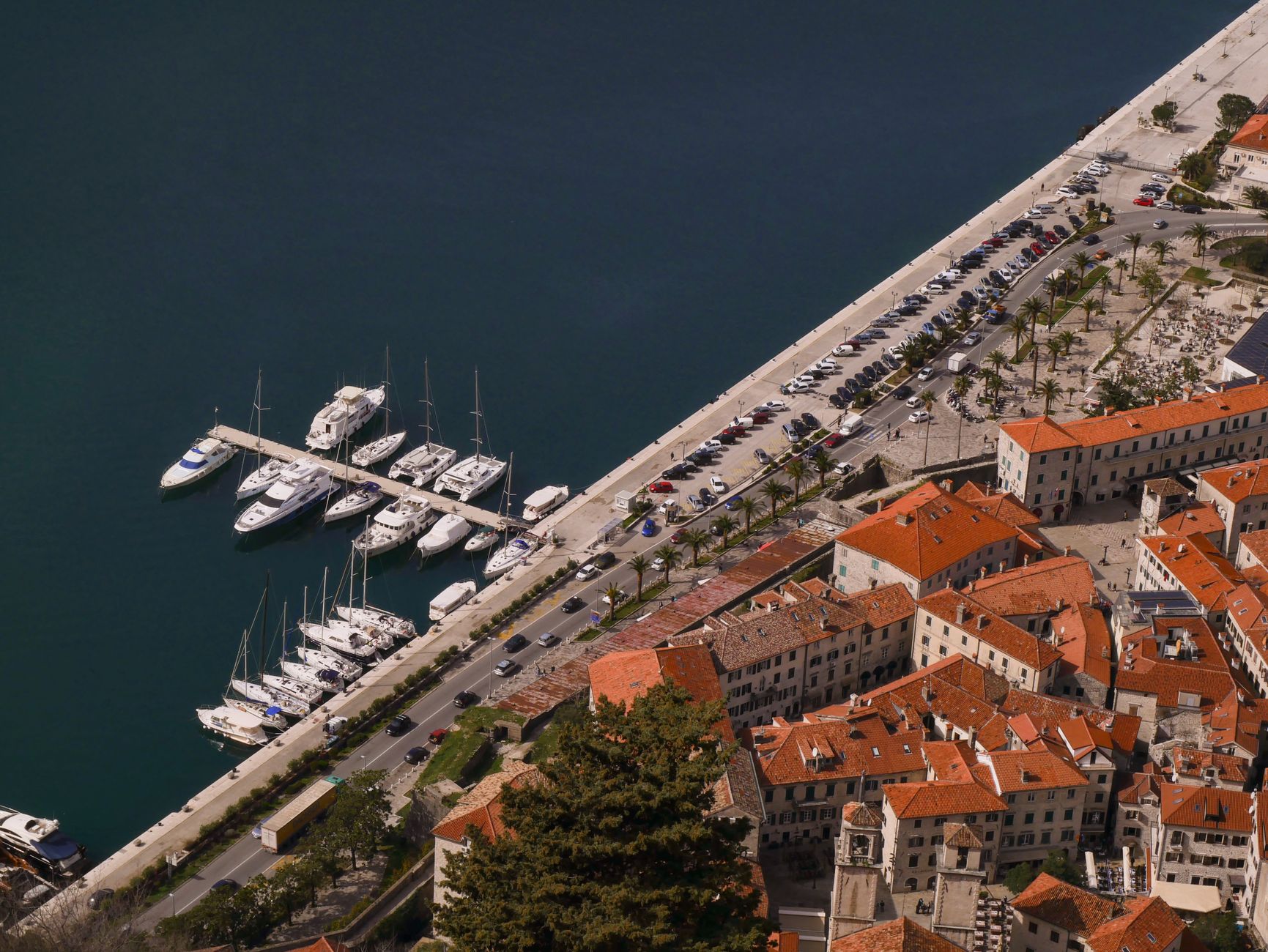 Kotor, Kotor
