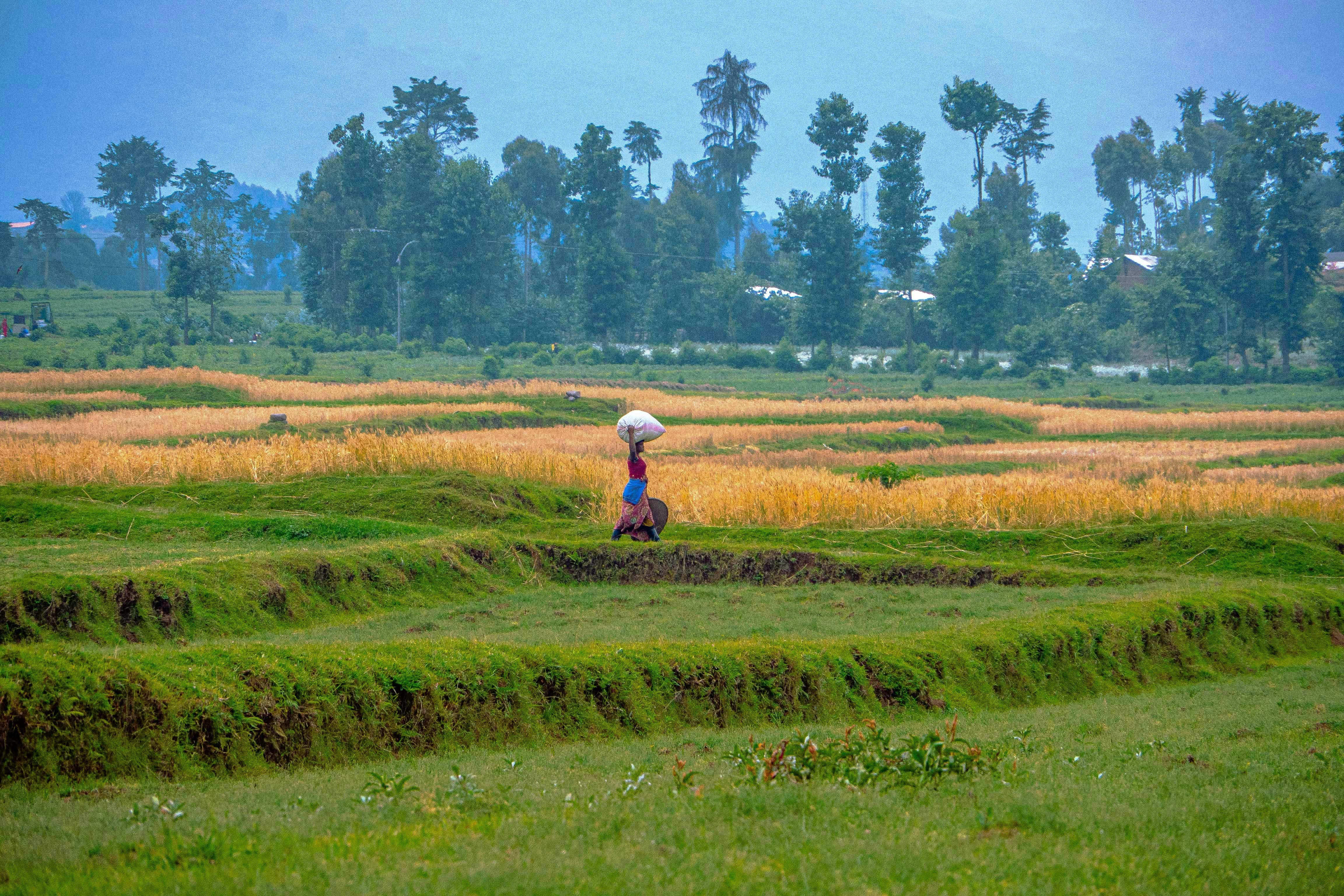 Rwanda — image 4