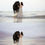 Thumbnail: 32 Zonsondergang luchten overlays voor Photoshop