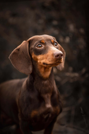 Renate Vos Fotografie_886A6461(2).jpg