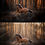 Thumbnail: Photoshop pakket 40 overlays zon en zonnestralen