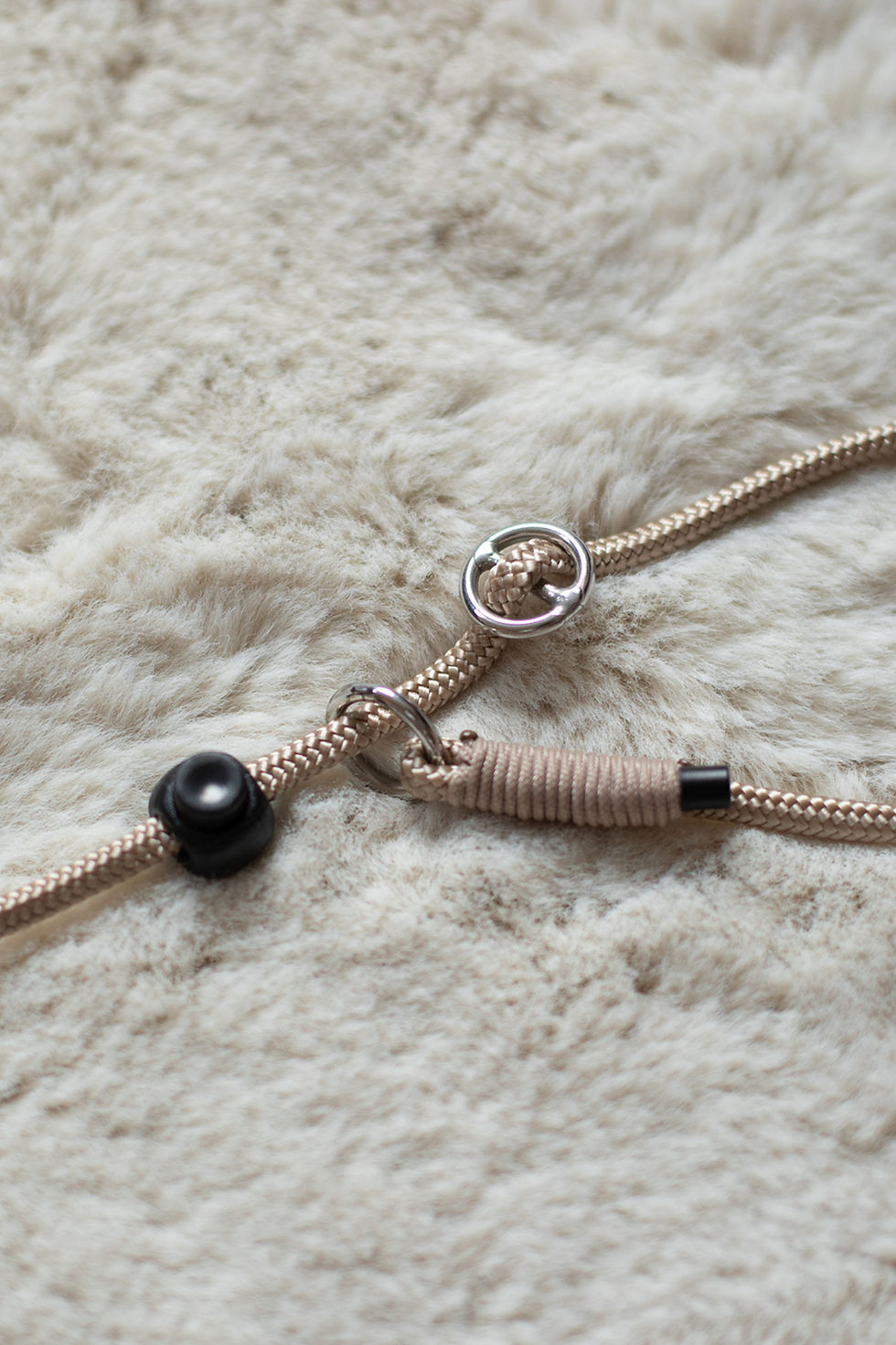 Thumbnail: Photography leash dog