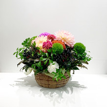 C32CDFC7-9500-4049-835D-1C60A3B6F9F2.jpe