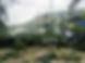 IMG-20180916-WA0094.jpg
