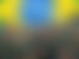 Crise com Trump assusta Exército brasileiro