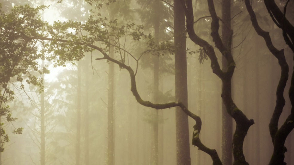 Guided Meditation - April 19, 2023 - Your Beautiful Body is the Doorway In