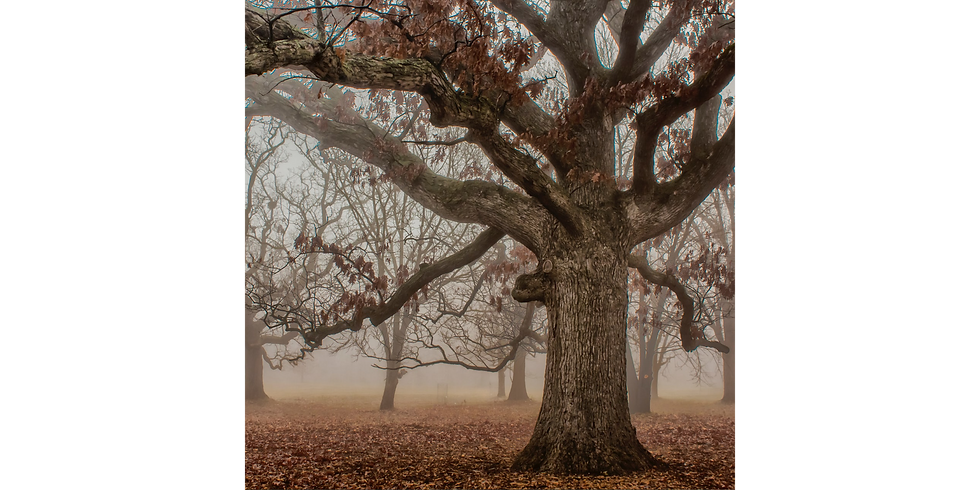 Day 3 Only | Three Half-Day Retreat | Unspeakable Silence | Dec 5, 2021