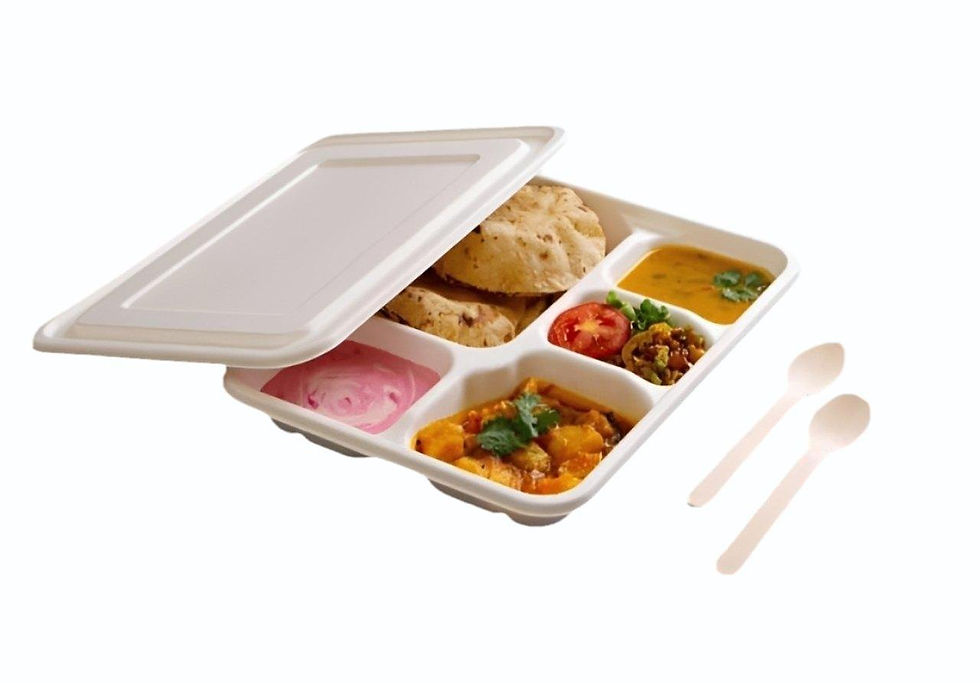 Bagasse Meal tray