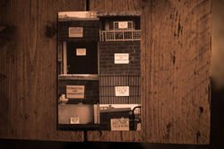 ADEPT-GAZE LAUNCH (36 of 64)