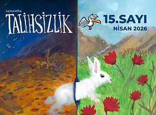 Talihsizlik Dergi