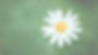 Captura de ecrã 2023-10-16, às 19.27_edited.jpg