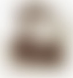 Not everyone arrived at Ellis Island