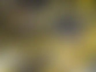 Debugging NXP ARM Microcontrollers Using PEMicro with S32 Design Studio