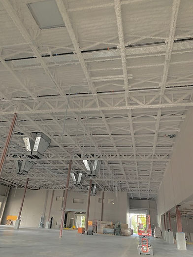 Acoustical Sprays & Insulation.jpg