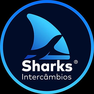 WhatsApp Image 2026-03-31 at 13.04.04.jpeg