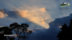 luciernagas_1_recorridos_cielo_luciernagas_tlaxcala