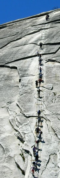 Half Dome's Cables