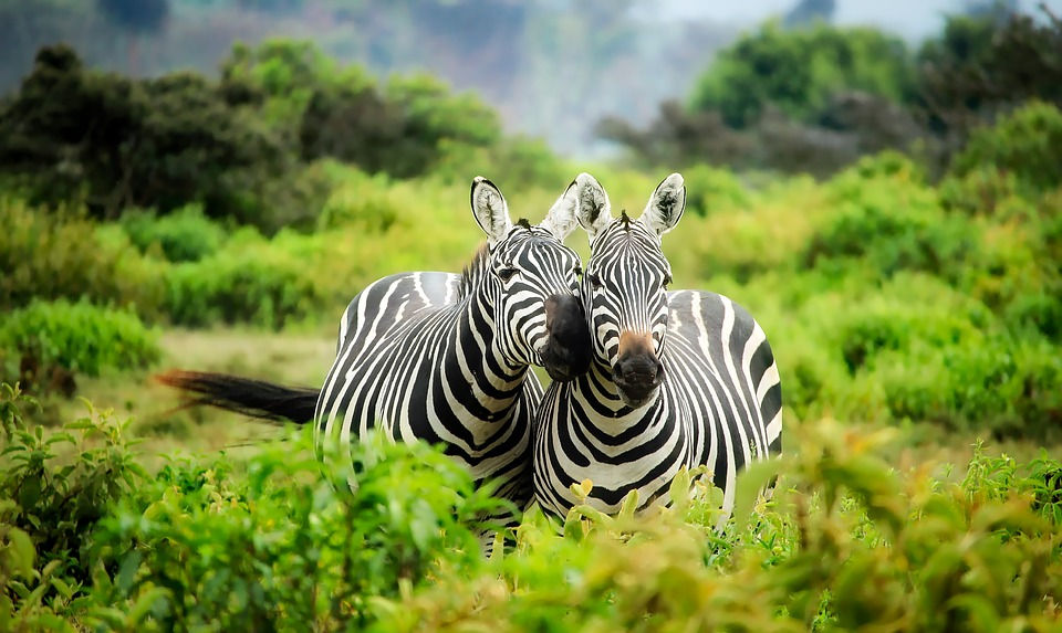 Kenya