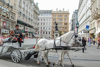 cab-carriage vienna