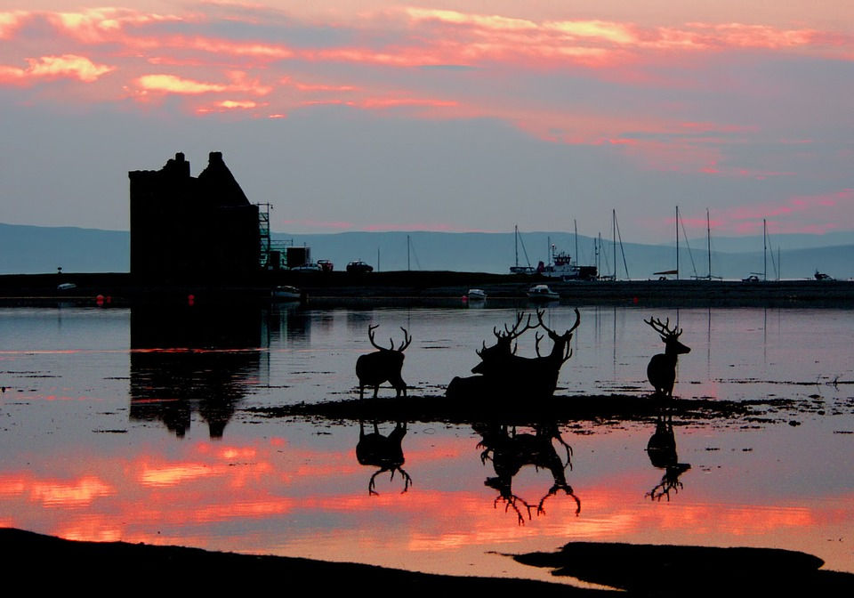 lochranza Isle Of Arran