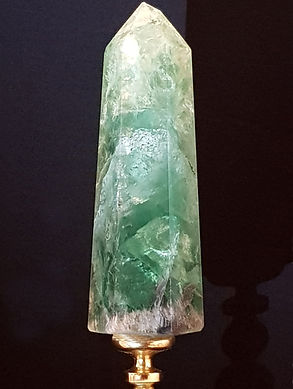 Emu 20201019_150320 Top.jpg