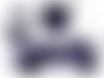 Double the Wheels, Double the Thrills: ENS EVGP Girls' Team Powers Up!⚡