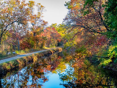 _STS2304 - Nick.jpeg