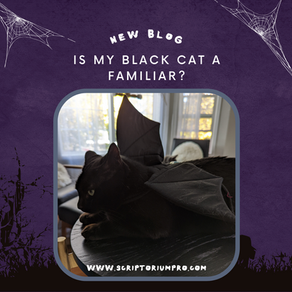Is My Black Cat a Witch’s Familiar?