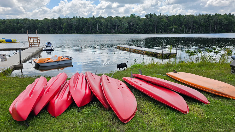 Buying or Selling a Camp: The Legal Roadmap