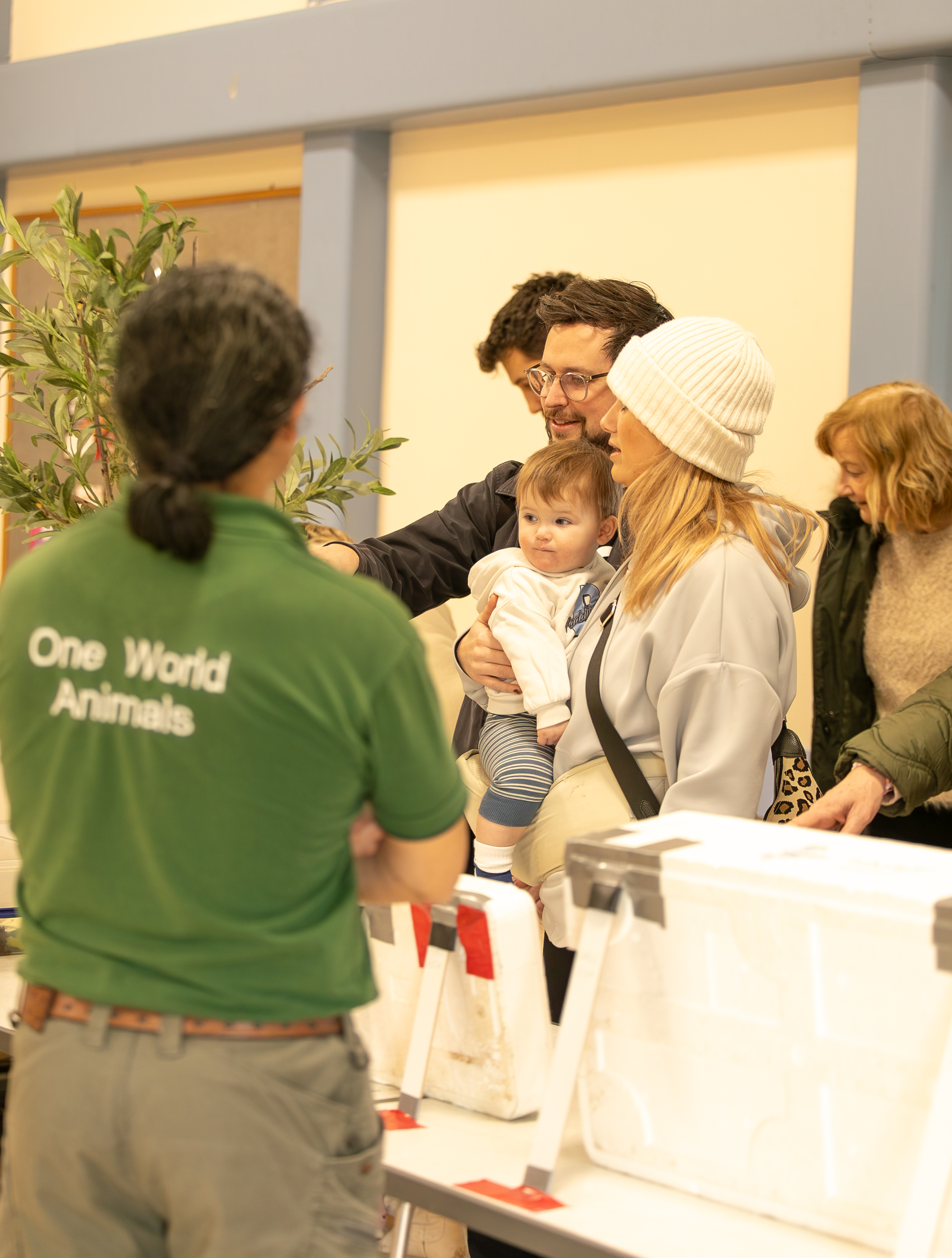 One World Animals — kids' party venue in London