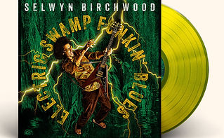 Selwyn Birchwood 013.jpg