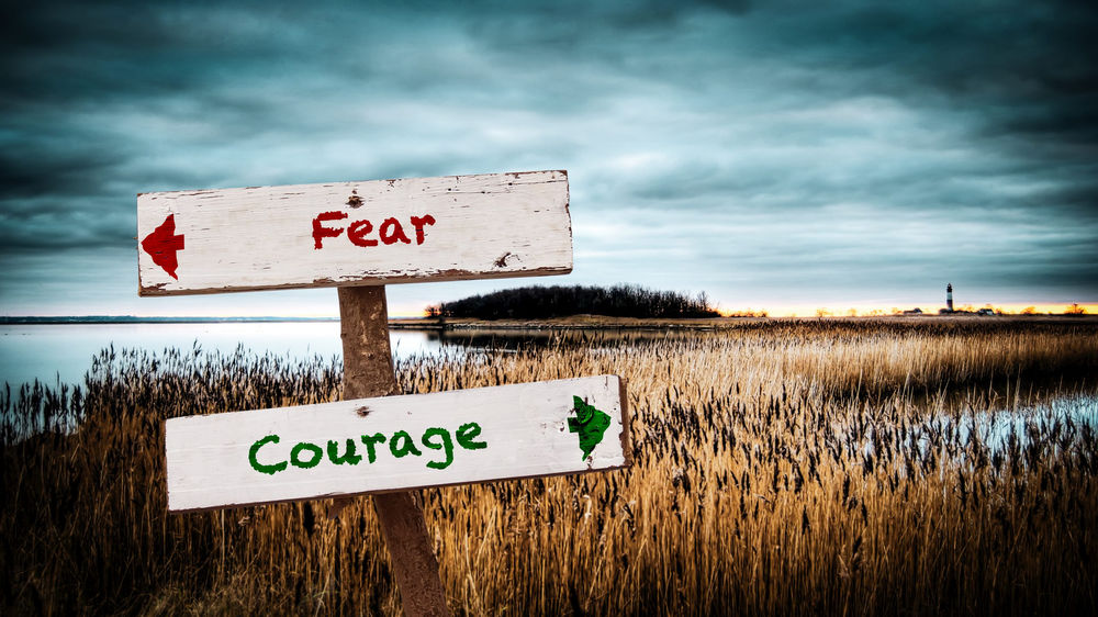 Shoftim: None But the Brave