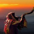 Home | Shmu's Views - Torah Observant Judaism