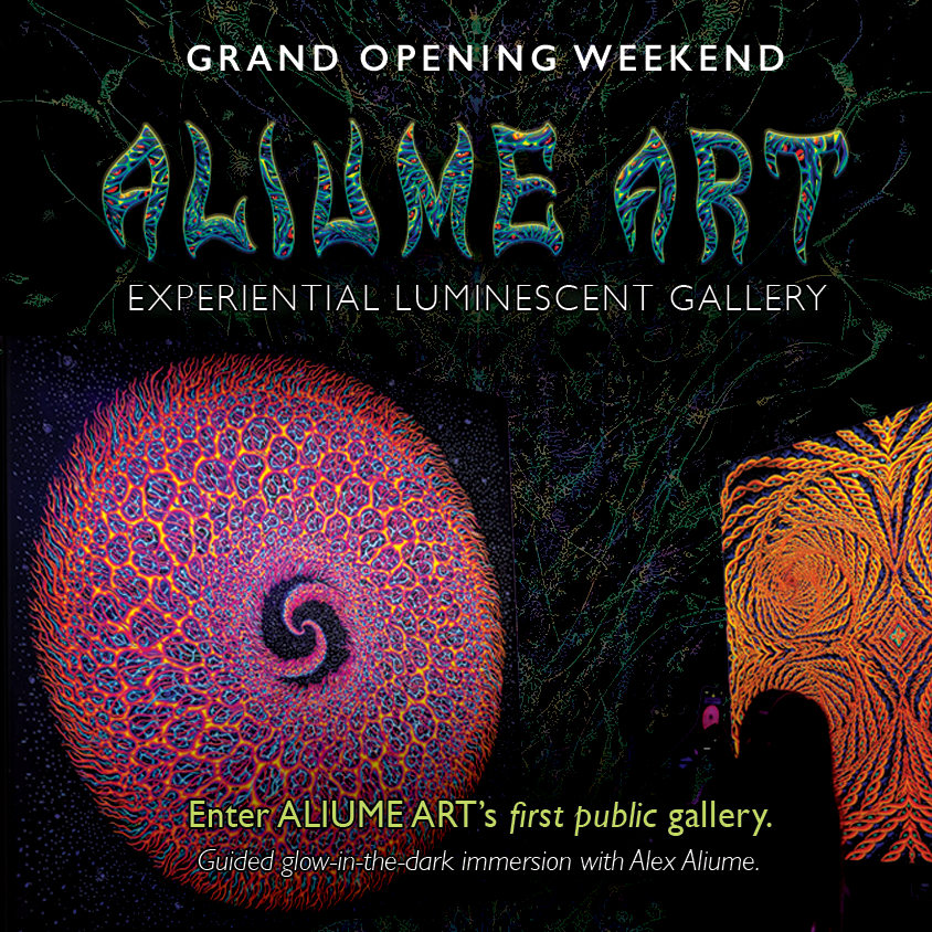 ALIUME ART's First Public Gallery: Grand Opening Weekend