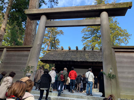 アロハの仲間が続々と…(╹◡╹)