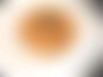 Risotto tomate champignons