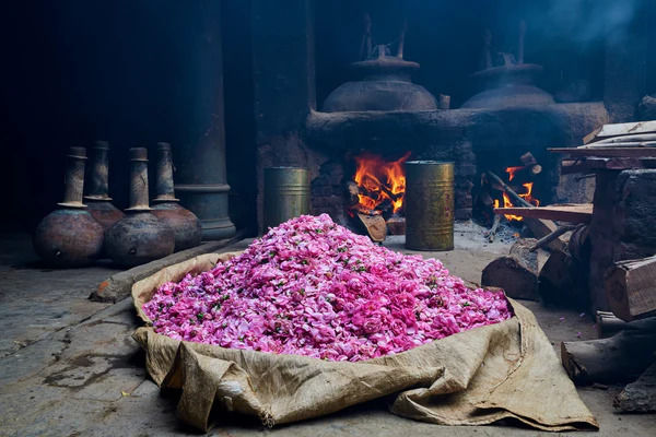 Rose Water Steam Distillation