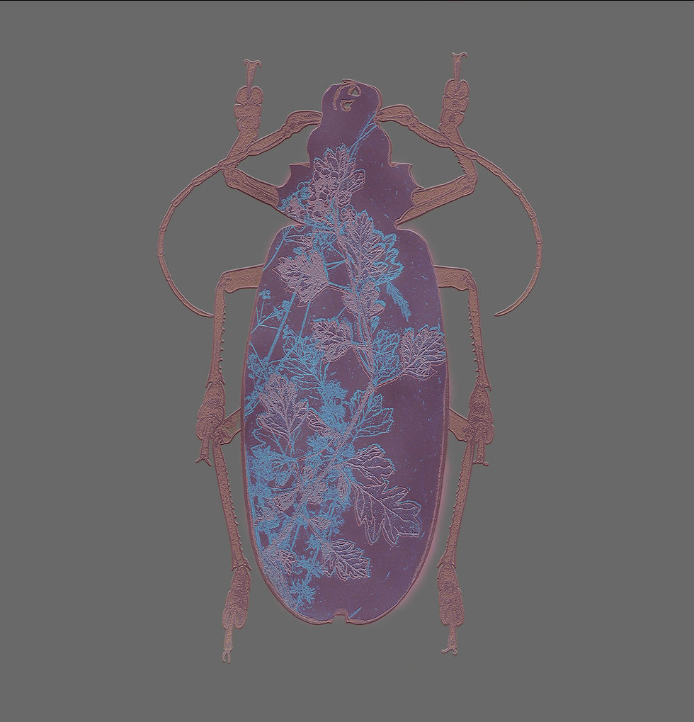 making my abstract mni beast into a screen print.looking at colour combinations