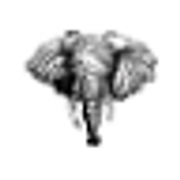 The Ear Logo