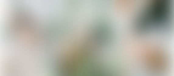 December 16, 2021 - Family Time with Highland Cows